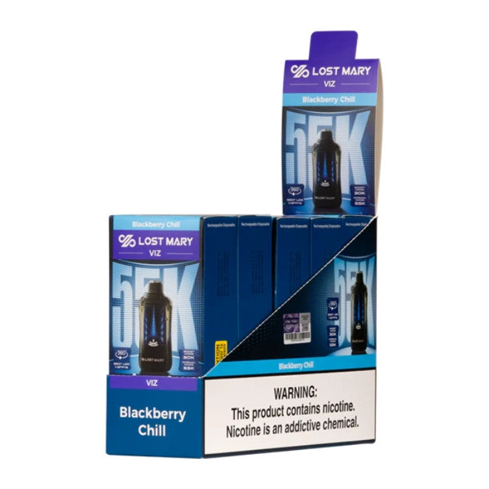 Lost Mary VIZ 55K Disposable Vape chill